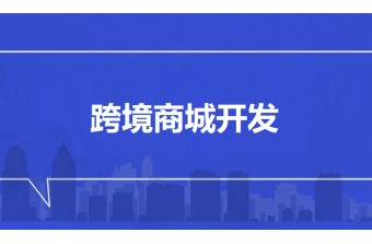 跨境商城开发：开启全球商业新航程