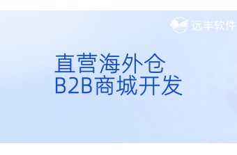 直营海外仓B2B商城开发