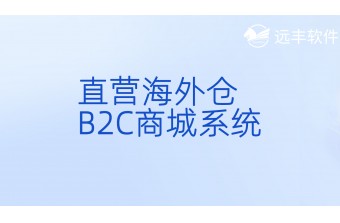 直营海外仓B2C商城系统