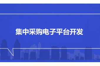 集中采购电子平台开发