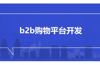 b2b购物平台开发