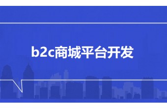 b2c商城平台开发