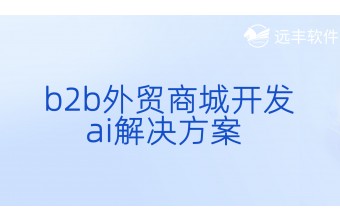 b2b外贸商城开发和ai解决方案