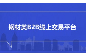 钢材类B2B线上交易平台搭建：数字化赋能钢铁流通新生态