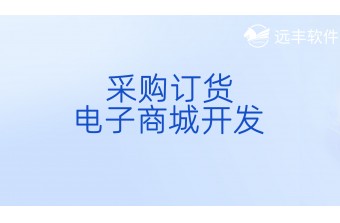 采购订货电子商城开发