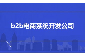 b2b电商系统开发公司