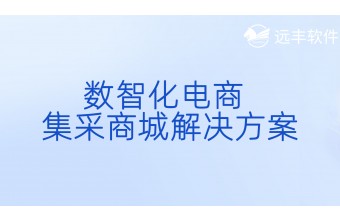 数智化电商集采商城解决方案