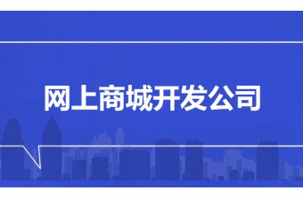 网上商城开发公司