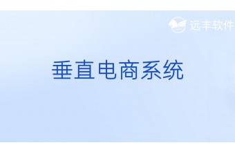 垂直电商系统