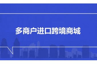 多商户进口跨境商城建设方案