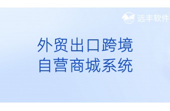 外贸出口跨境自营商城系统