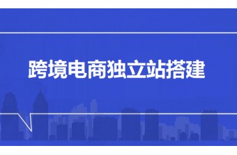跨境电商独立站搭建