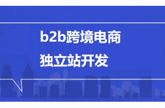 B2B跨境电商独立站开发：打造全球化数字贸易新引擎