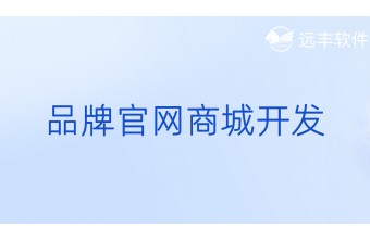 品牌官网商城开发