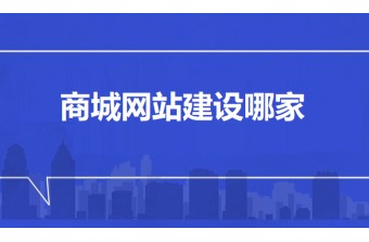 商城网站建设哪家好？中大型企业选型深度指南