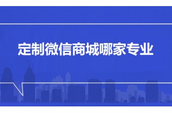 定制微信商城哪家专业