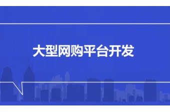 大型网购平台开发