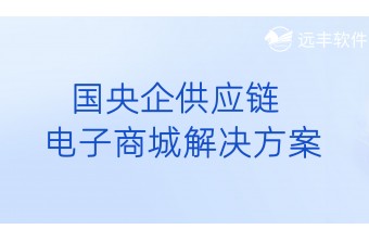 国央企供应链电子商城解决方案