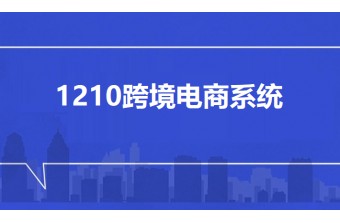 深度剖析1210跨境电商系统：定义、实践与未来全景图