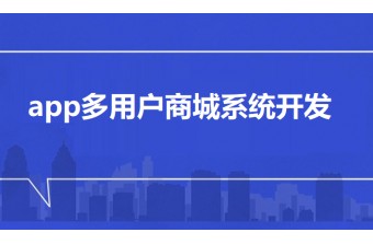 app多用户商城系统开发