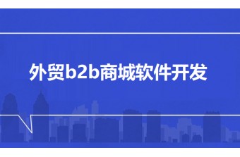 外贸b2b商城软件开发