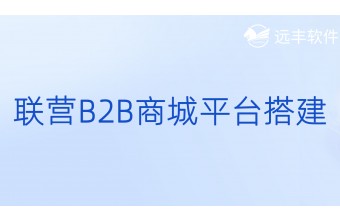 联营B2B商城平台搭建