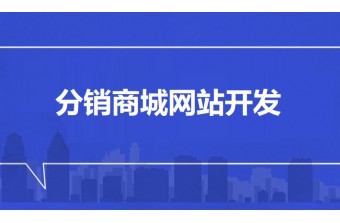 分销商城网站开发：赋能渠道裂变与业绩增长