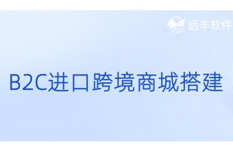 B2C进口跨境商城搭建
