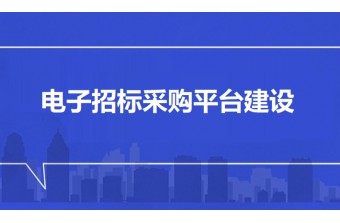 电子招标采购平台建设