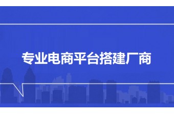 盘点专业电商平台搭建厂商：远丰软件为何成行业标杆？