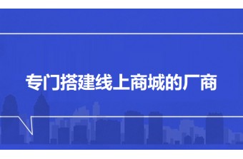 专门搭建线上商城的厂商