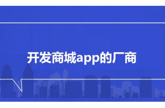 开发商城app的厂商