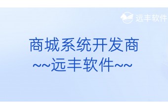 B2B2C多商家商城系统开发商-远丰软件