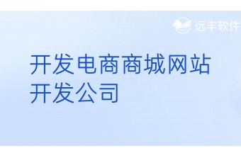 开发电商商城网站的开发公司
