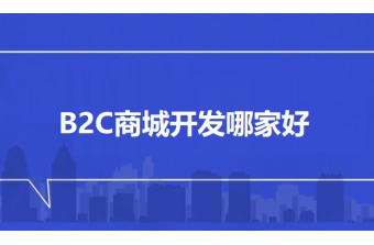 B2C商城开发哪家好？远丰软件以四大核心优势引领智能电商新标杆