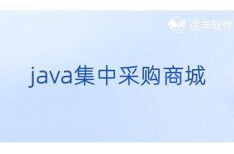 Java集中采购商城