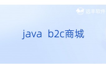 Java B2C商城