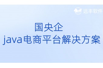 国央企java电商平台解决方案