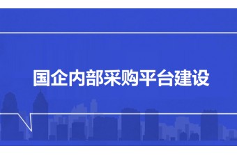 国企内部采购平台建设方案