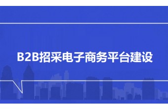 B2B招采电子商务平台建设