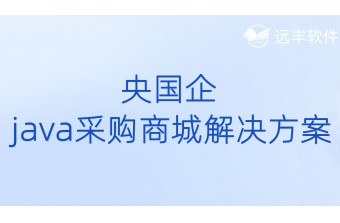 国央企Java采购商城解决方案