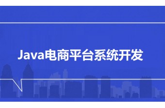 Java电商平台系统开发
