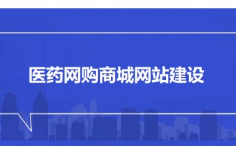 医药网购商城网站建设方案
