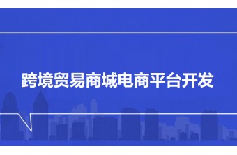 跨境贸易商城电商平台开发公司：助力企业拓展全球市场