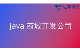 java 商城开发公司