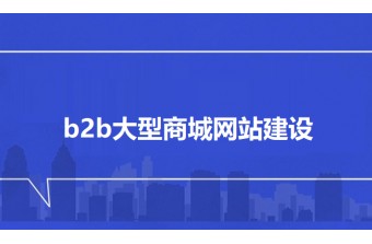 b2b大型商城网站建设