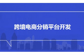 跨境电商分销平台开发