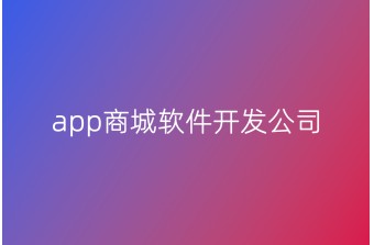 app商城软件开发公司