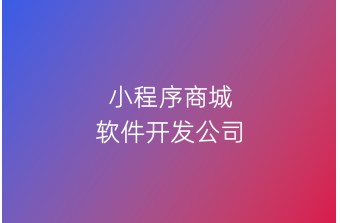 小程序商城软件开发公司
