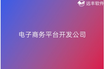 电商平台开发公司